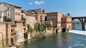 Courtier Albi